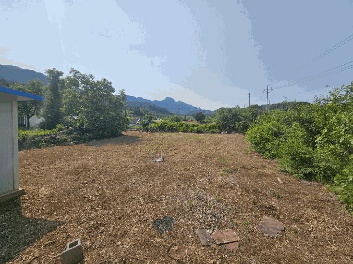 법원경매 2025타경5322 사진2 | 단양군 적성면 하리 398 전 경매