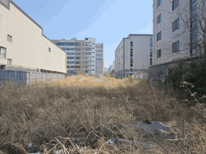 2025타경333 법원경매 사진4 | 전남 목포시 대지 경매