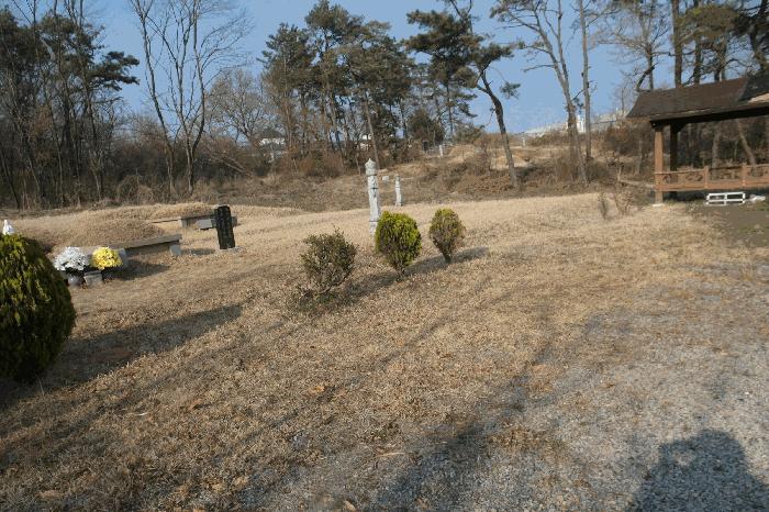 2025타경347 법원경매 사진3 | 충남 논산시 전 경매