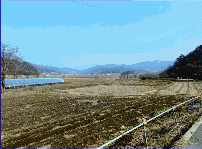 2025타경20276 법원경매 사진4 | 충남 부여군 답 경매