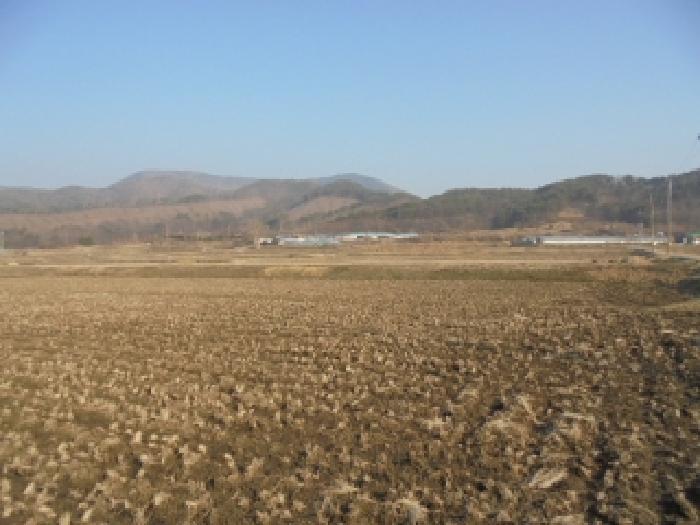 2025타경20276 법원경매 사진5 | 충남 부여군 답 경매