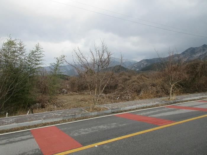 전라남도 구례군 산동면 좌사리 394 법원경매 물건 대표사진