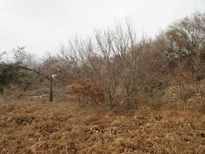 2024타경5698 법원경매 사진2 | 전남 구례군 전 경매