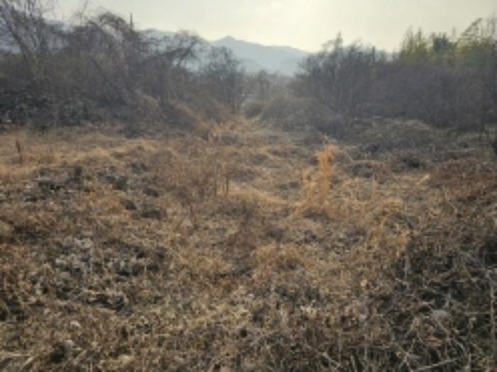 2024타경5698 법원경매 사진22 | 전남 구례군 전 경매