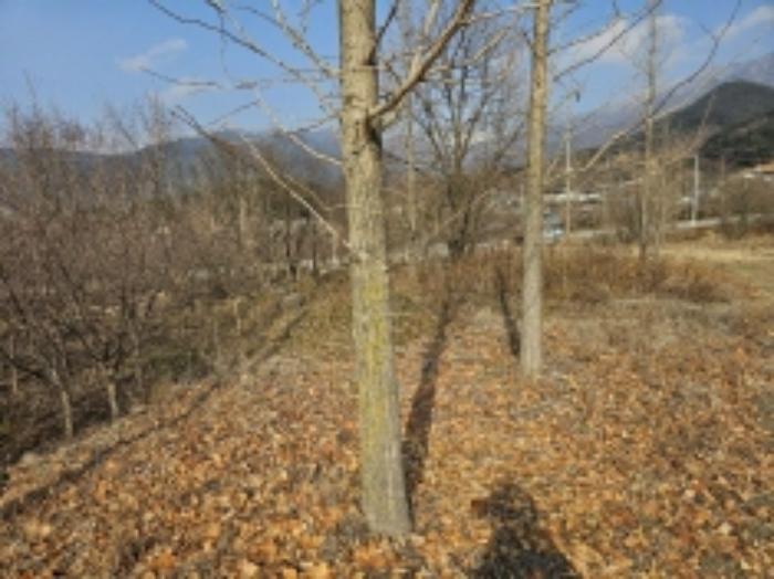 2024타경5698 법원경매 사진36 | 전남 구례군 전 경매