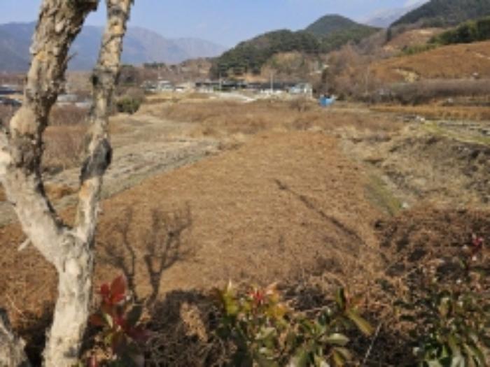 2024타경5698 법원경매 사진43 | 전남 구례군 전 경매
