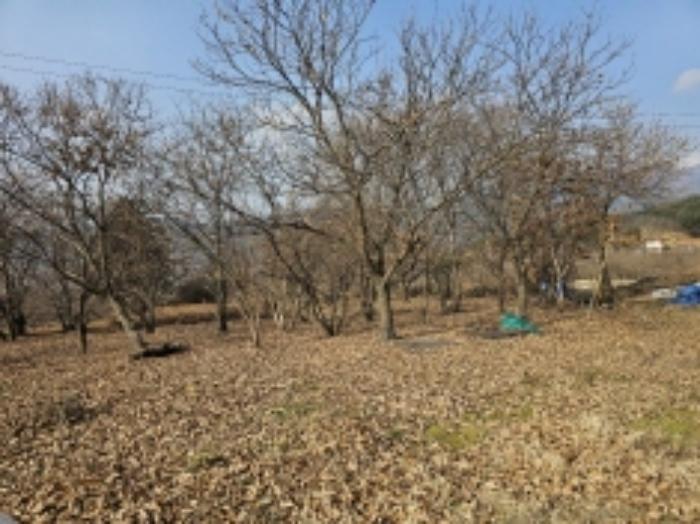 2024타경5698 법원경매 사진48 | 전남 구례군 전 경매