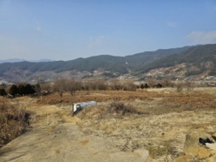 2024타경5698 법원경매 사진52 | 전남 구례군 전 경매