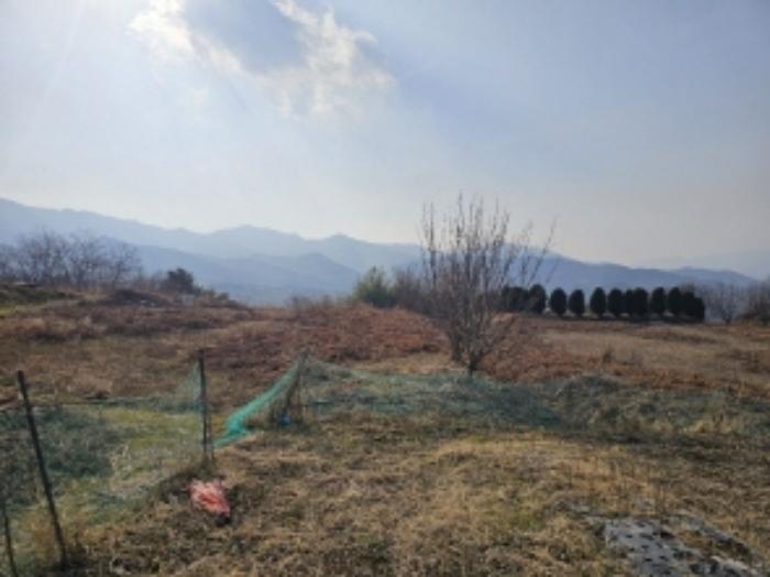 2024타경5698 법원경매 사진58 | 전남 구례군 전 경매