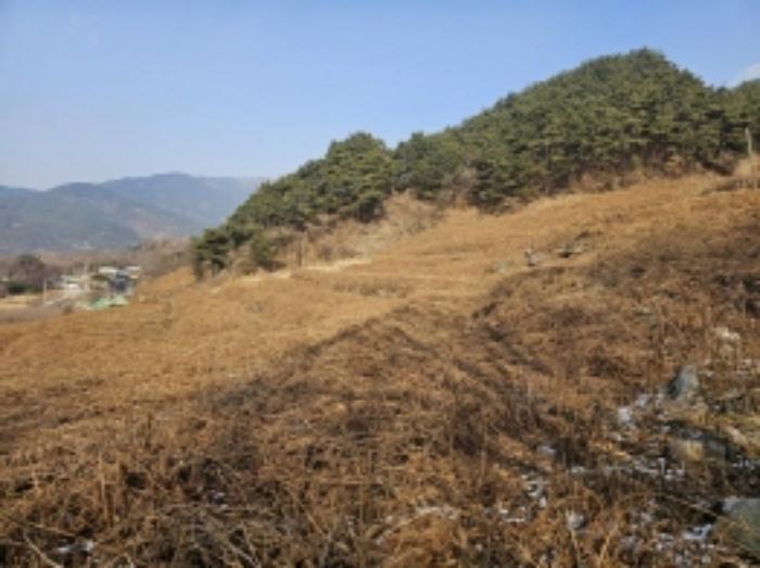 2024타경5698 법원경매 사진63 | 전남 구례군 전 경매