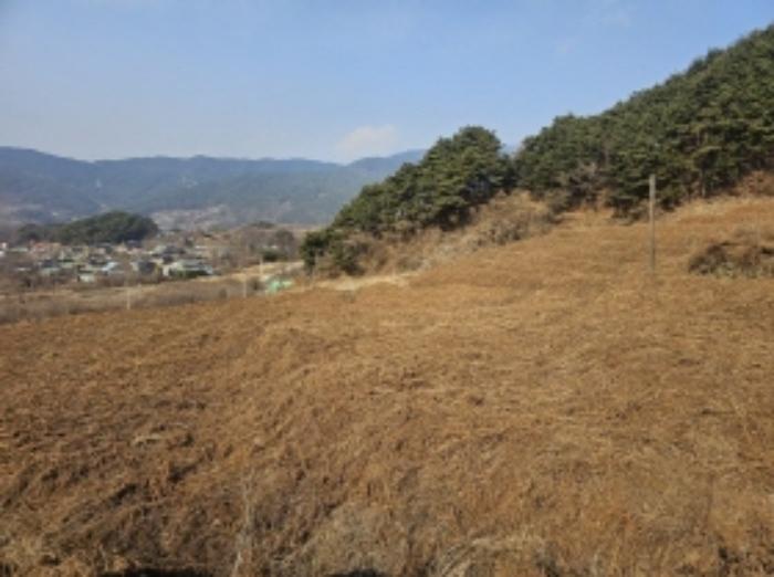 2024타경5698 법원경매 사진64 | 전남 구례군 전 경매