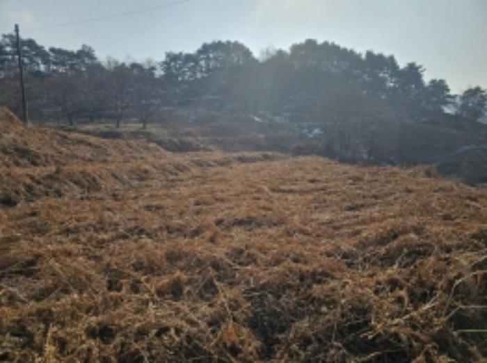 2024타경5698 법원경매 사진65 | 전남 구례군 전 경매