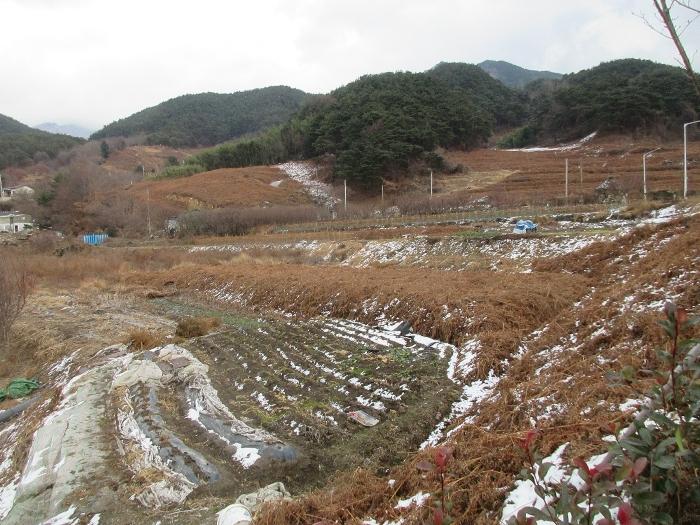 2024타경5698 법원경매 사진8 | 전남 구례군 전 경매