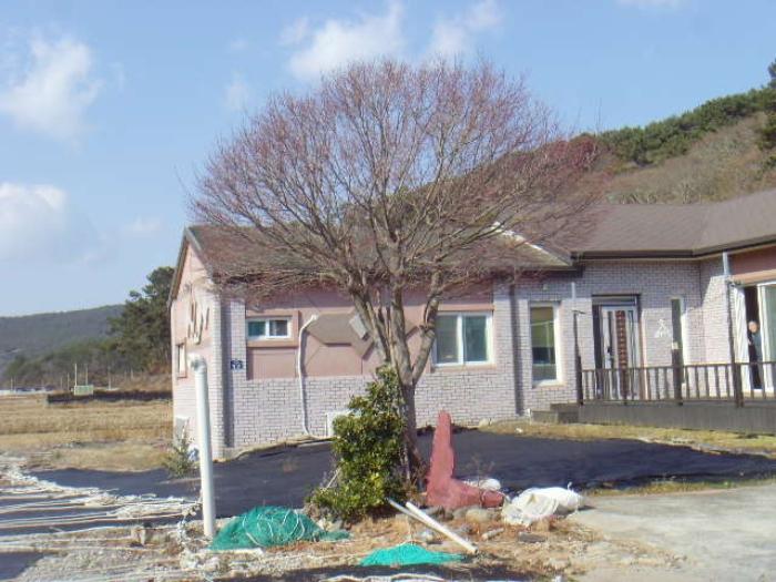 2024타경55887 법원경매 사진31 | 전남 완도군 답 경매