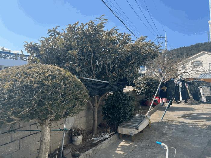 2025타경50341 법원경매 사진4 | 전남 완도군 전 경매