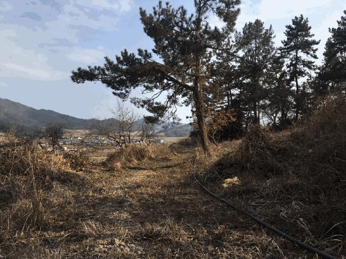 2025타경50343 법원경매 사진2 | 전남 진도군 임야 경매
