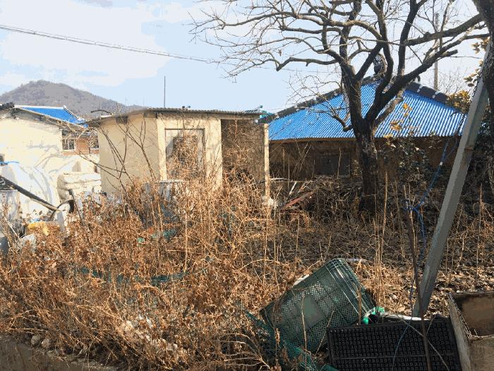 2025타경50343 법원경매 사진14 | 전남 진도군 주택건물 경매