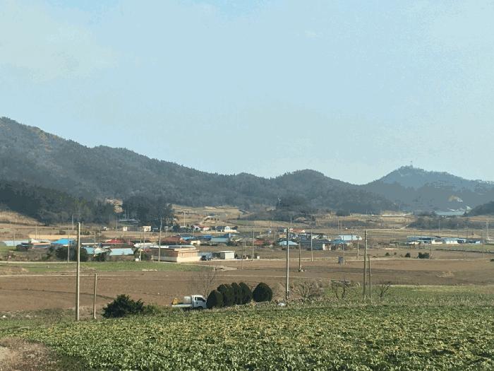 전남 진도군 의신면 연주리 426 주택 사진 5