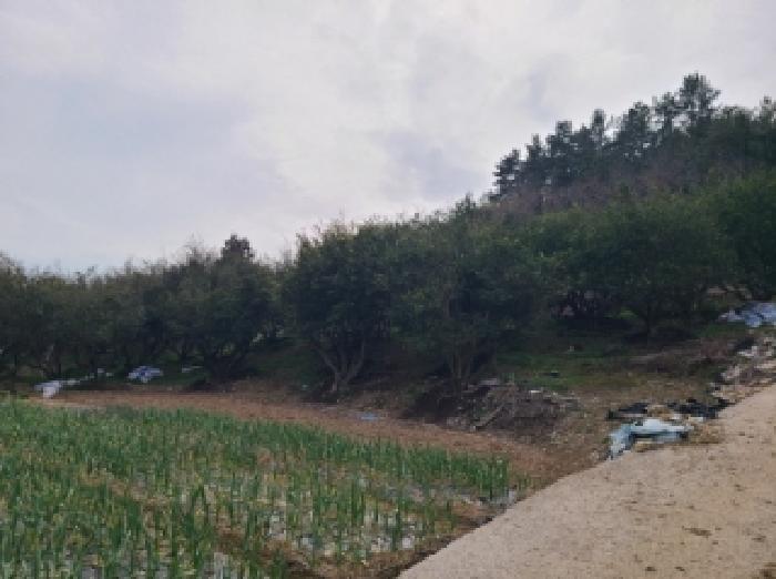 2025타경50349 법원경매 사진19 | 전남 완도군 전 경매