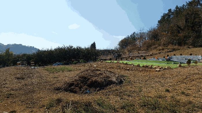 2025타경50349 법원경매 사진9 | 전남 완도군 전 경매