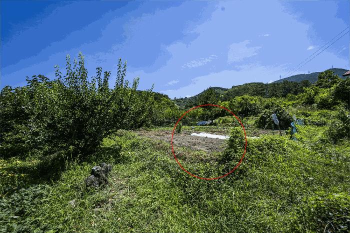 2025타경507 법원경매 사진3 | 전남 광양시 대지 경매