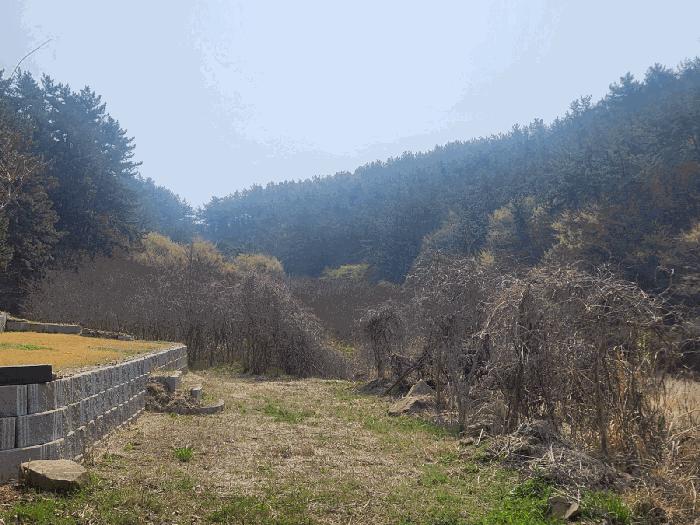 법원경매 2025타경429 사진4 | 고성군 삼산면 두포리 239-2 답 경매
