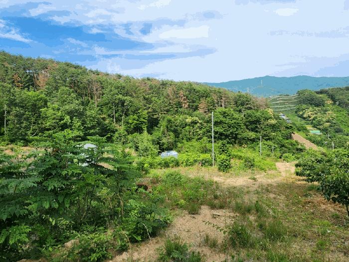 2025타경51588 법원경매 사진3 | 전남 광양시 임야 경매