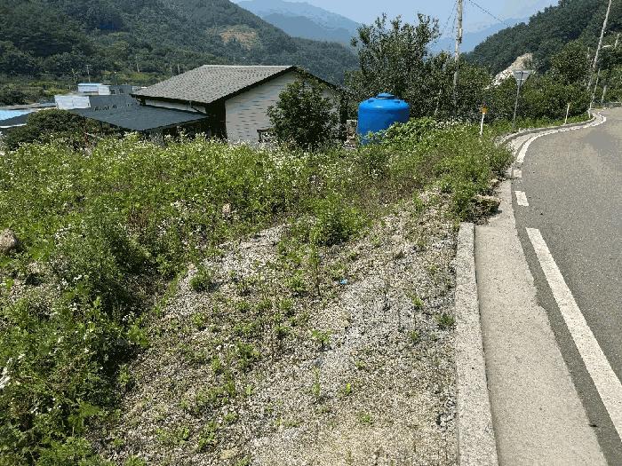2025타경51660 법원경매 사진2 | 전남 광양시 임야 경매