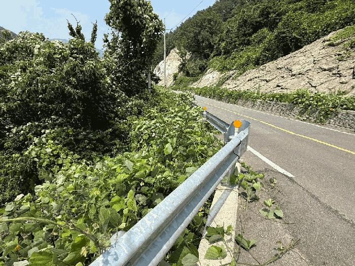 2025타경51660 법원경매 사진7 | 전남 광양시 임야 경매