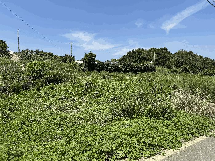 전남 여수시 돌산읍 우두리 405-7 전 사진 2