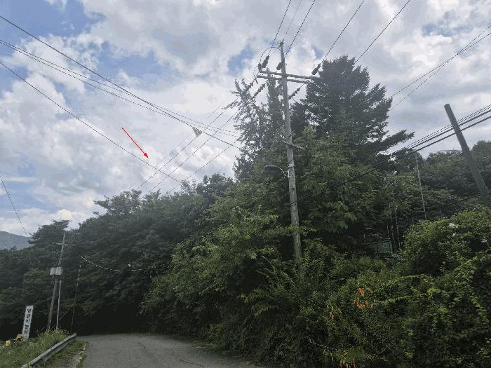 경기도 고양시 덕양구 대자동 산100 법원경매 물건 대표사진