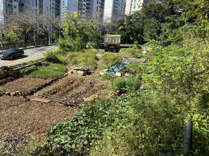 법원경매 2024타경5317 사진2 | 부산 부산진구 당감동 786-61 묘지 경매