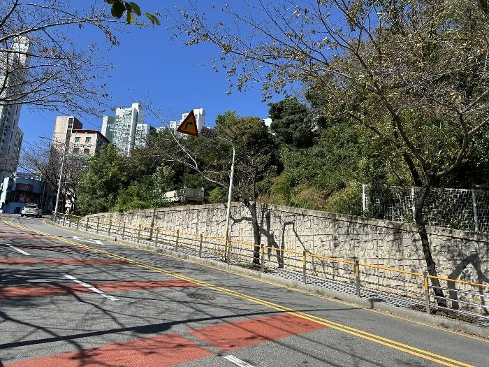 법원경매 2024타경5317 사진3 | 부산 부산진구 당감동 786-61 묘지 경매