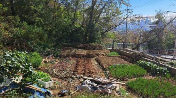 법원경매 2024타경5317 사진7 | 부산 부산진구 당감동 786-61 묘지 경매