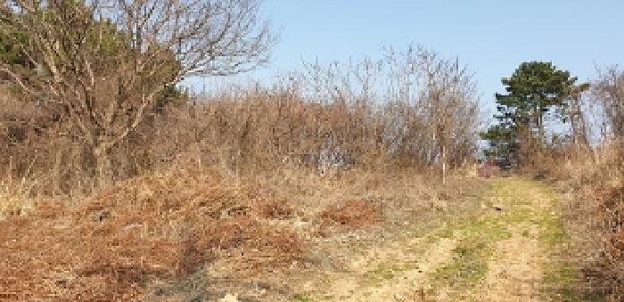 2025타경15591 법원경매 사진10 | 충남 보령시 전 경매
