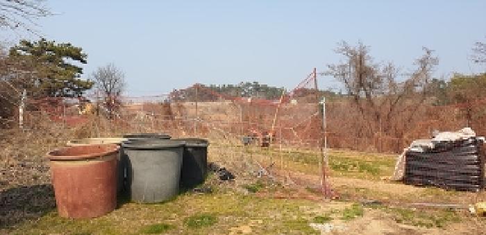 2025타경15591 법원경매 사진8 | 충남 보령시 전 경매