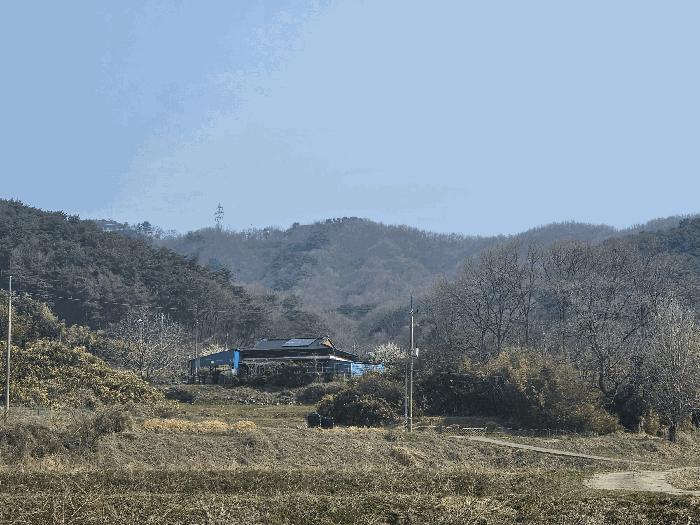 2025타경15619 법원경매 사진2 | 충남 서천군 임야 경매