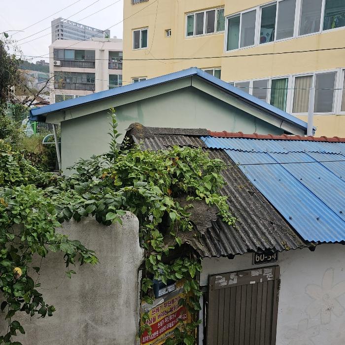 법원경매 2024타경110574 사진4 | 부산 남구 용당동 254-5 주택건물 경매