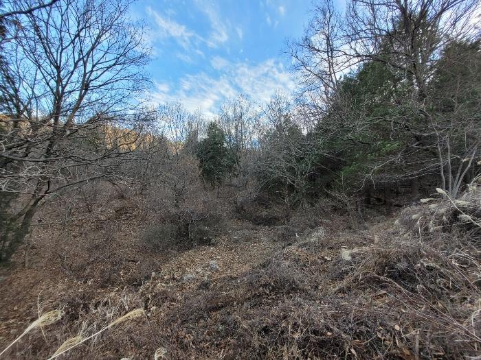 2024타경100417 법원경매 사진3 | 창원 진해구 임야 경매