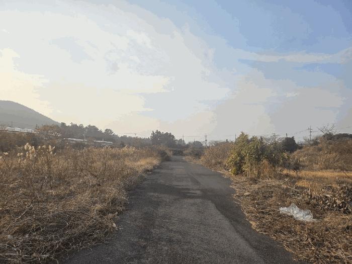 2025타경950 법원경매 사진2 | 제주 서귀포시 과수원 경매