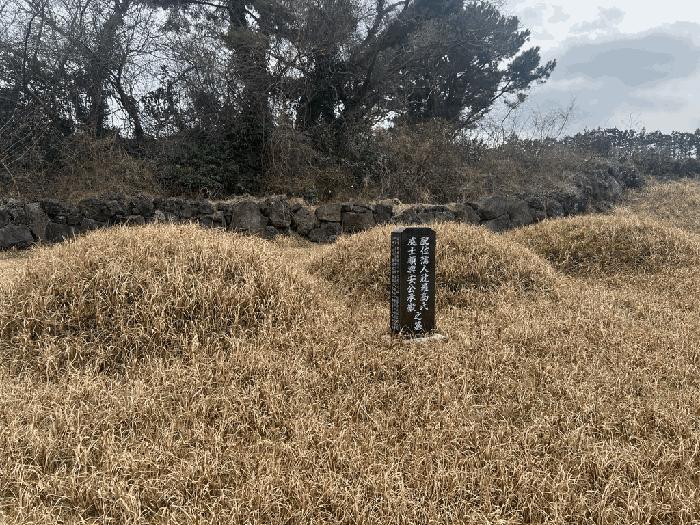 2025타경993 법원경매 사진2 | 제주 제주시 임야 경매
