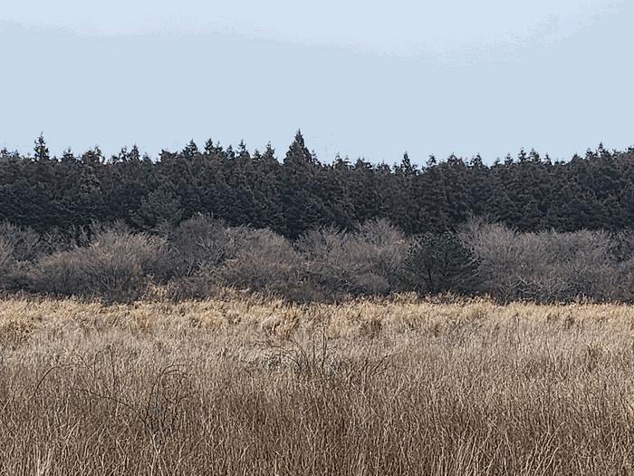 2025타경995 법원경매 사진2 | 제주 제주시 임야 경매