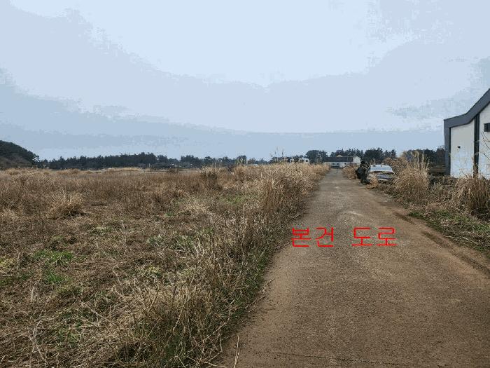 2025타경995 법원경매 사진3 | 제주 제주시 임야 경매