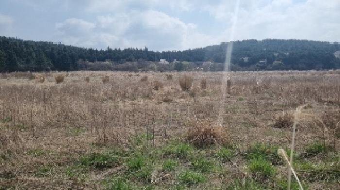 2025타경995 법원경매 사진6 | 제주 제주시 임야 경매