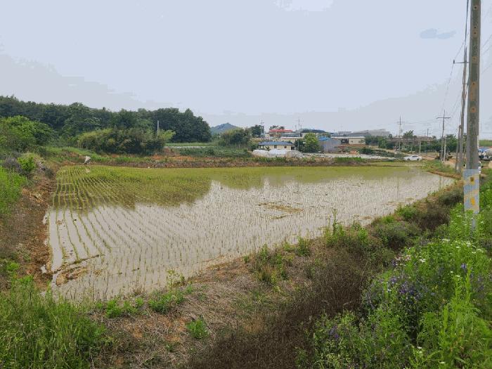 충청남도 당진시 석문면 삼봉리 249-15 법원경매 물건 대표사진