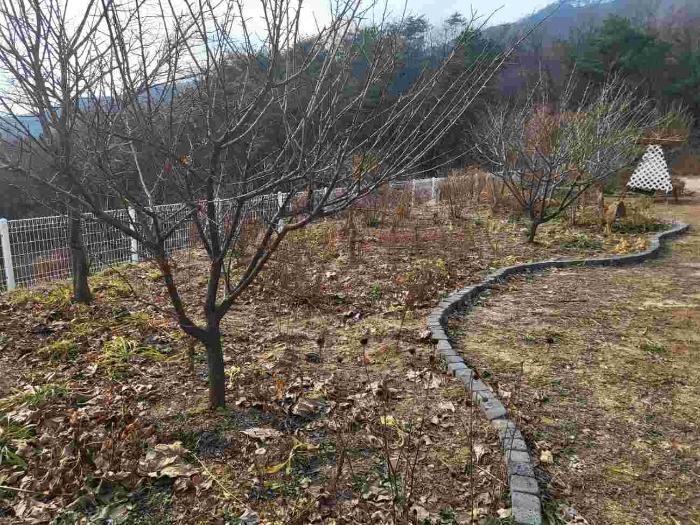 법원경매 2024타경33073 사진35 | 여주시 북내면 상교리 458 전 경매