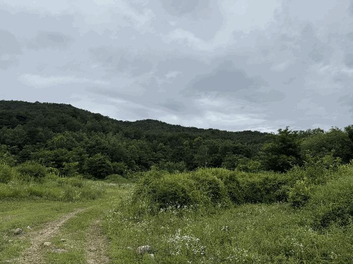 법원경매 2025타경72652 사진7 | 철원군 서면 자등리 임야 경매