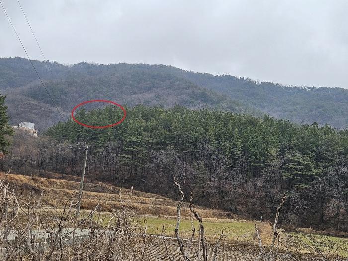 2024타경797 법원경매 사진4 | 울산 울주군 전답 경매