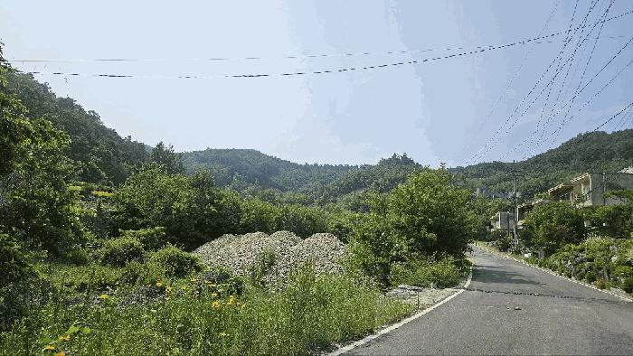2025타경3549 법원경매 사진2 | 충남 금산군 임야 경매