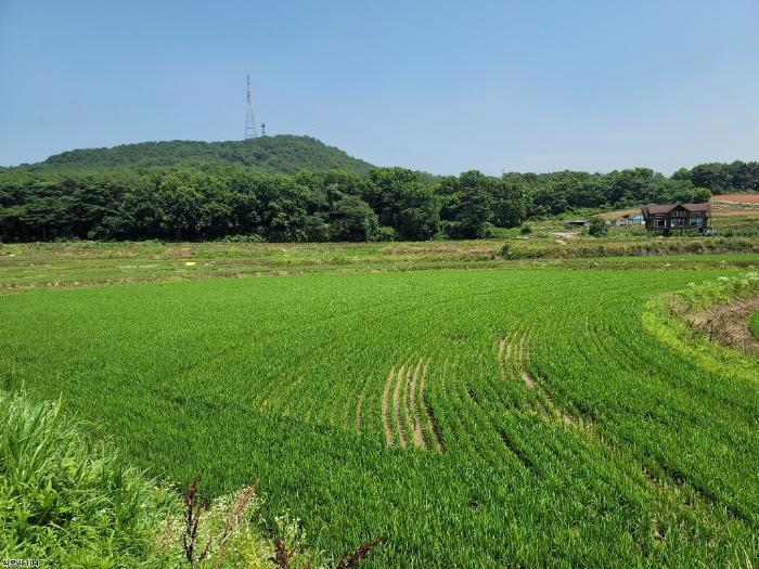 충청남도 당진시 송악읍 석포리 139 법원경매 물건 대표사진